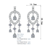 S925 Sterling Silver Moissanite Earrings for Women, Tassel Drop Earrings, Exquisite and Luxurious