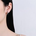 S925 Sterling Silver Earrings for Women, Small Moissanite Stud Earrings, Factory Direct Wholesale